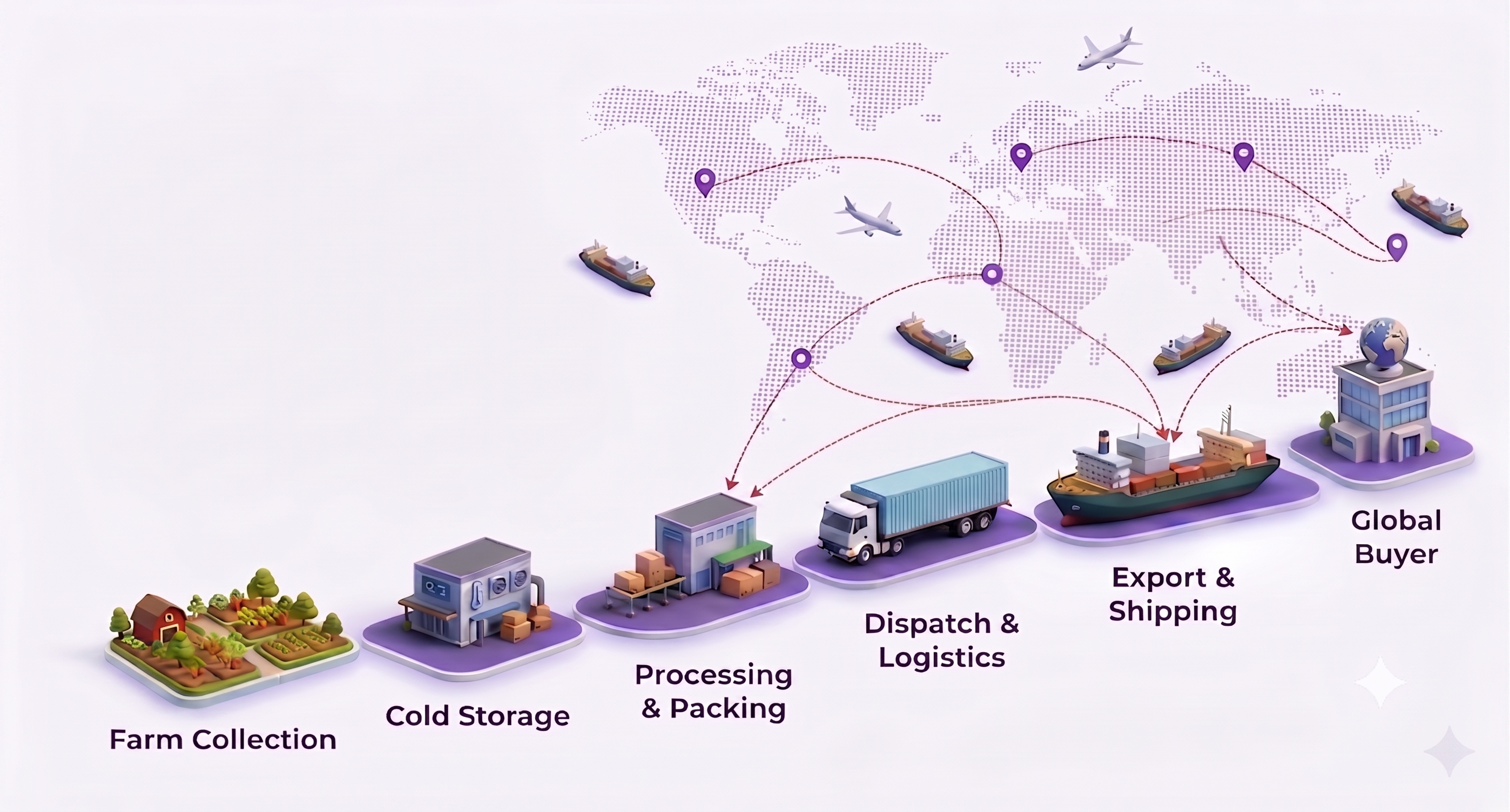 AMALIAGRO Supply Chain Flow Diagram